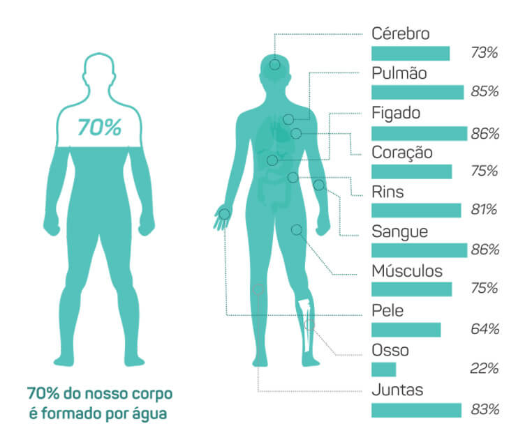 Composicao Percentual Da Agua